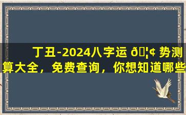 丁丑-2024八字运 🦢 势测算大全，免费查询，你想知道哪些信息